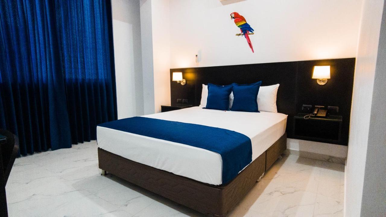 Hotel Boutique Papagayo ตาราโปโต ภายนอก รูปภาพ